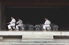 ise5 (106)_samu.gif